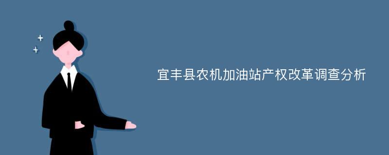 宜丰县农机加油站产权改革调查分析