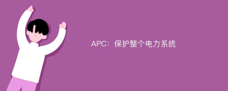 APC：保护整个电力系统