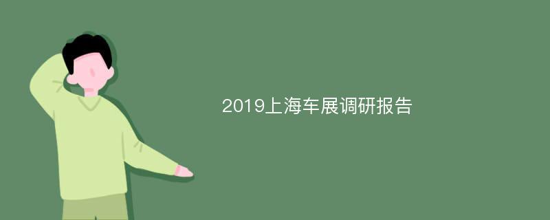 2019上海车展调研报告
