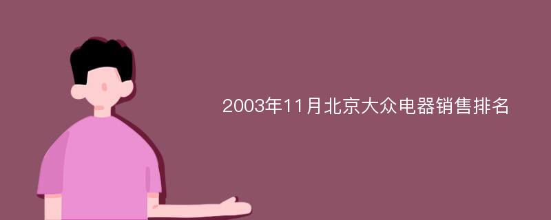 2003年11月北京大众电器销售排名