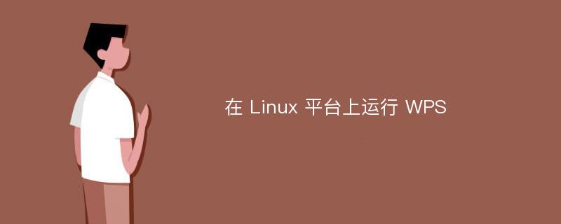 在 Linux 平台上运行 WPS